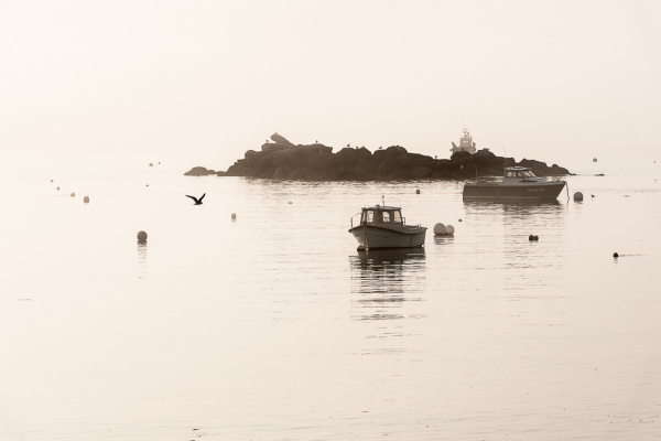 Nathalie.Chanteau-5208-2022