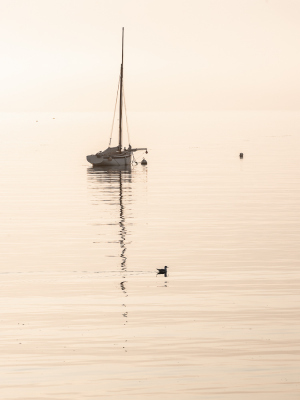 Nathalie.Chanteau-5248-2022