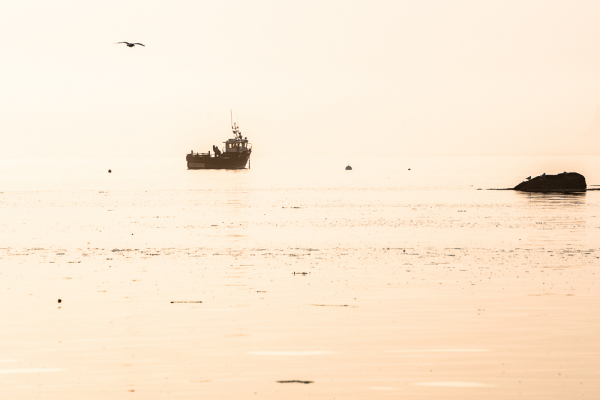 Nathalie.Chanteau-5267-2022