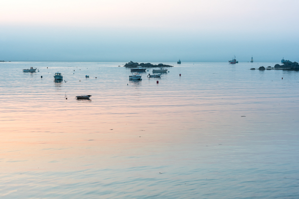 Nathalie.Chanteau-5311-2022