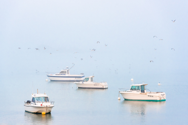 Nathalie.Chanteau-7023-2023