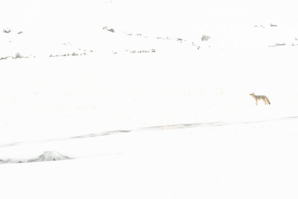 Nathalie.Chanteau-1696-2019_