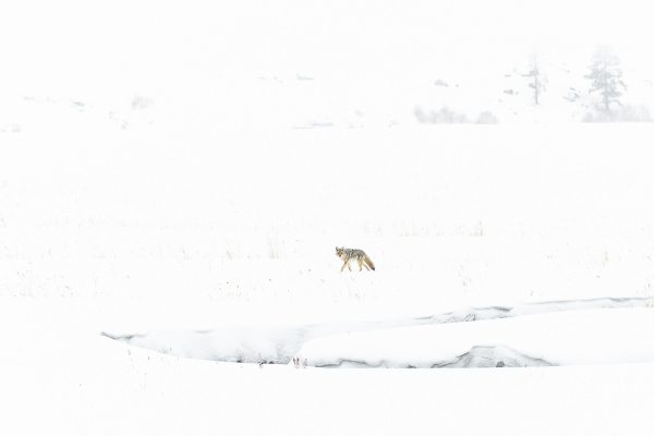 Nathalie.Chanteau-1697-2019_