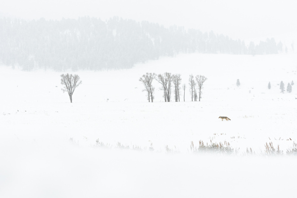 Nathalie.Chanteau-3943-2019_