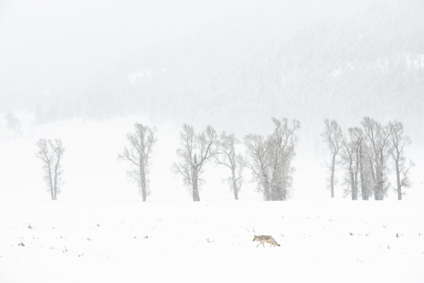 Nathalie.Chanteau-3948-2019_