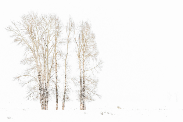 Nathalie.Chanteau-3950-2019_