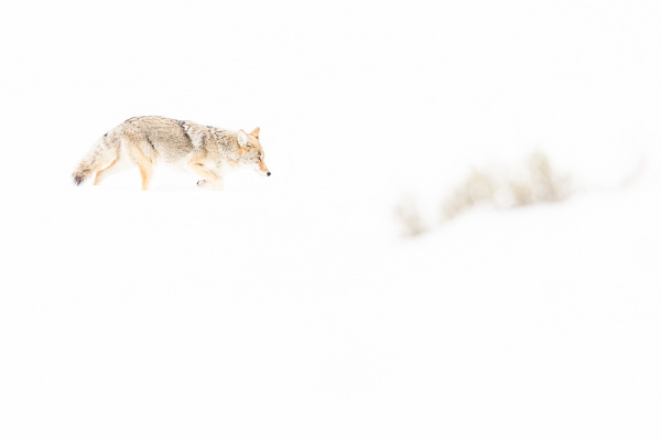 Nathalie.Chanteau-8536-2020