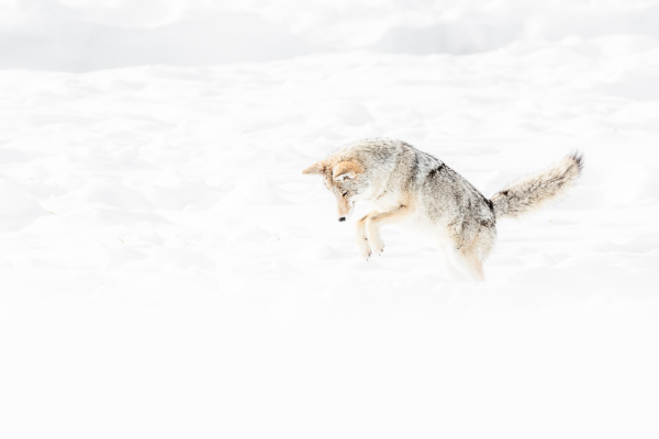 Nathalie.Chanteau-9551-2020