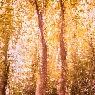 Nathalie-Chanteau-3499-2021