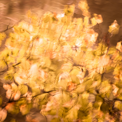 Nathalie-Chanteau-3522-2021