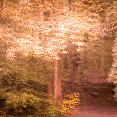 Nathalie-Chanteau-3527-2021