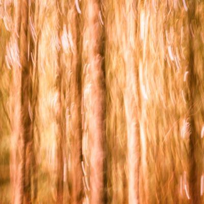 Nathalie-Chanteau-3536-2021