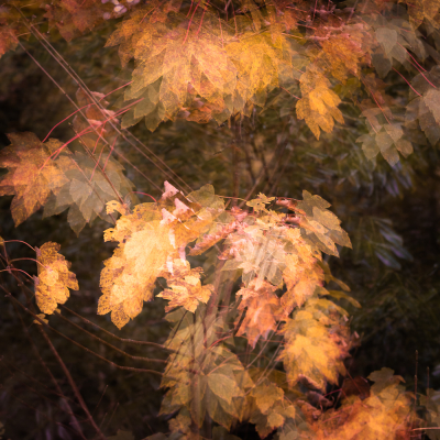 Nathalie-Chanteau-3547-2021