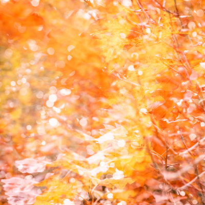 Nathalie-Chanteau-3548-2021