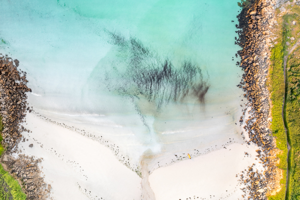 Nathalie.Chanteau-0430-2024