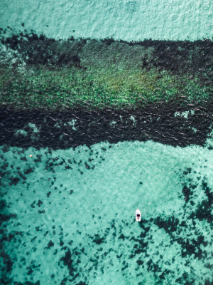 Nathalie.Chanteau-0619-2024