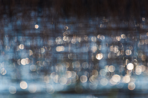 Nathalie-Chanteau-4435-2017