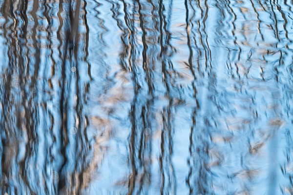 Nathalie.Chanteau-8396-2025