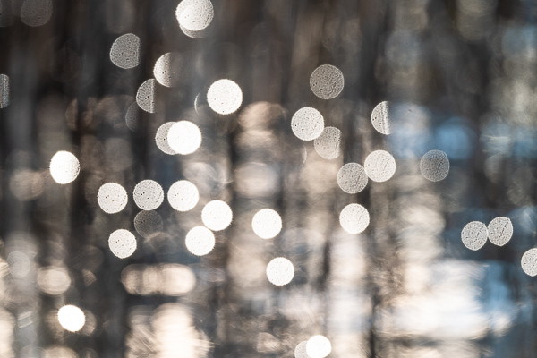 Nathalie.Chanteau-8397-2025