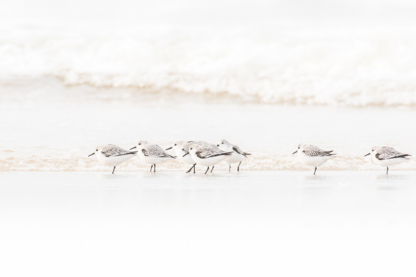 Nathalie.Chanteau-3156-2018