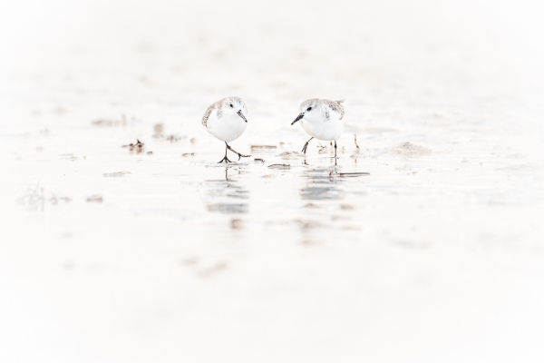 Nathalie.Chanteau-3729-2018