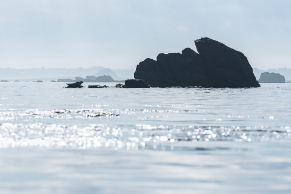 Nathalie.Chanteau-0017-2018