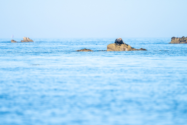 Nathalie.Chanteau-0205-2024