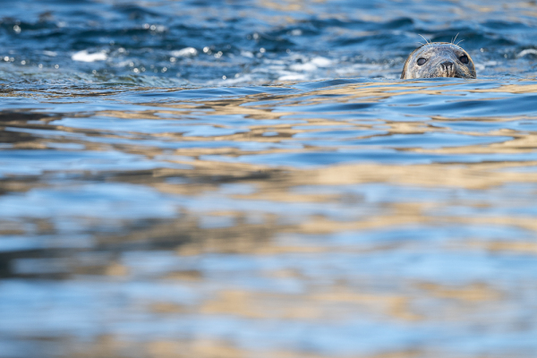 Nathalie.Chanteau-0399-2024