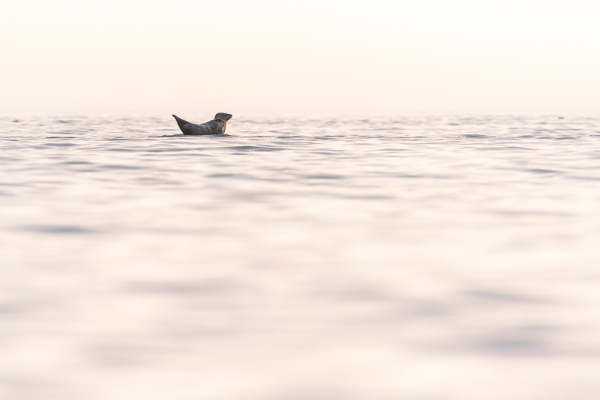 Nathalie.Chanteau-6059-2019