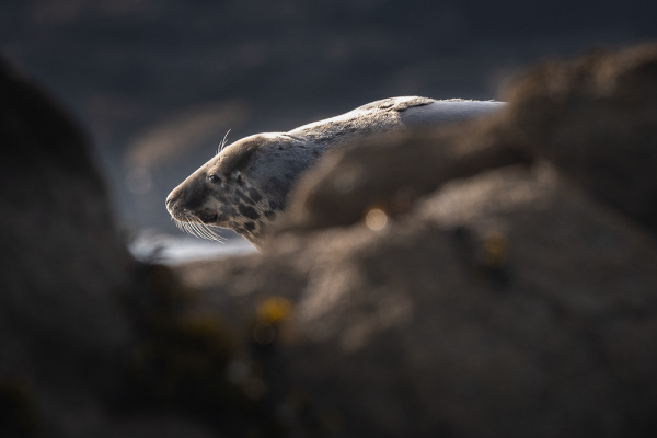 Nathalie.Chanteau-9893-2022