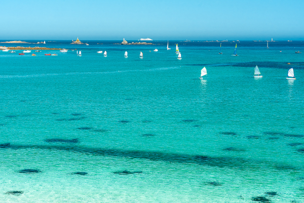 Nathalie-Chanteau-8988-2024