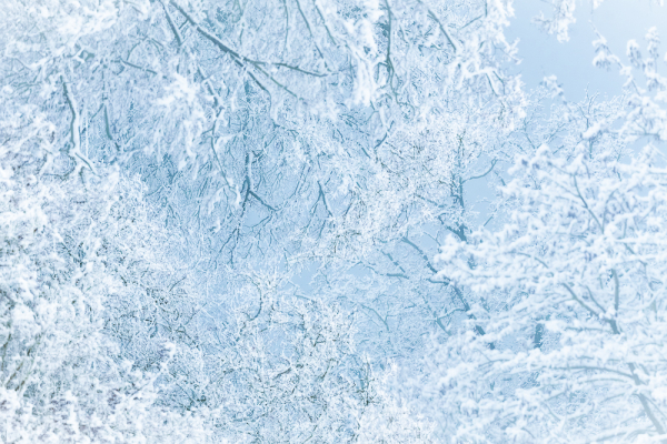 Nathalie.Chanteau-1015-2023