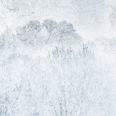 Nathalie.Chanteau-1017-2023