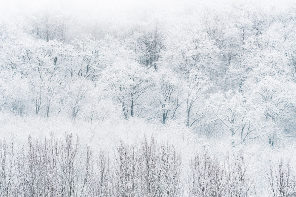 Nathalie.Chanteau-1050-2023