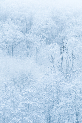 Nathalie.Chanteau-1057-2023