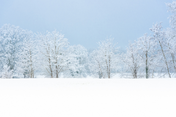 Nathalie.Chanteau-5827-2023