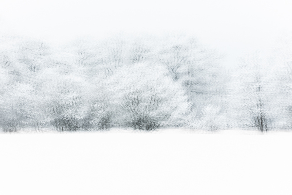 Nathalie.Chanteau-5836-2023