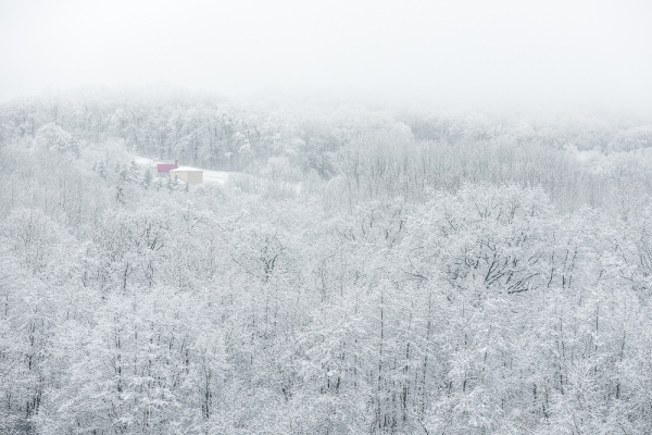 Nathalie.Chanteau-5840-2023