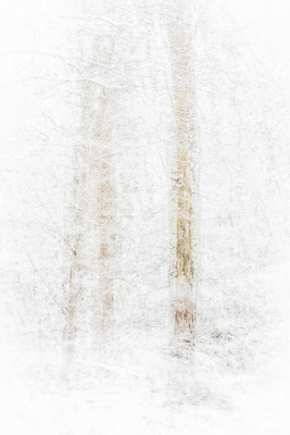 Nathalie.Chanteau-5890-2023