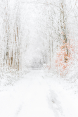 Nathalie.Chanteau-5910-2023