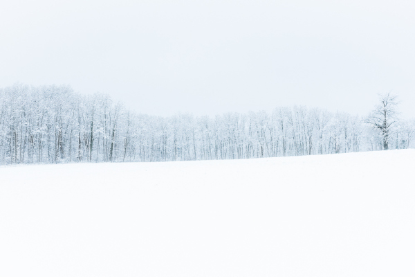 Nathalie.Chanteau-5918-2023