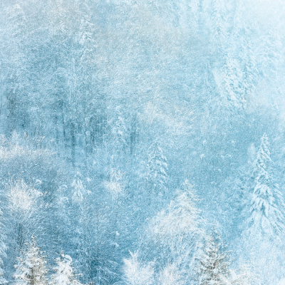 Nathalie.Chanteau-6101-2023