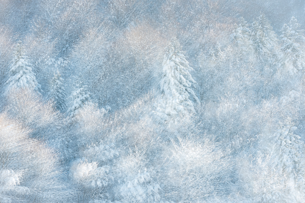 Nathalie.Chanteau-6110-2023