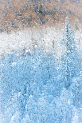 Nathalie.Chanteau-6224-2023