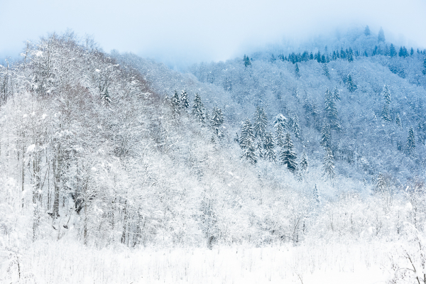 Nathalie.Chanteau-6519-2023