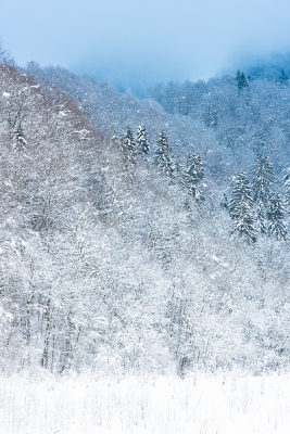 Nathalie.Chanteau-6520-2023