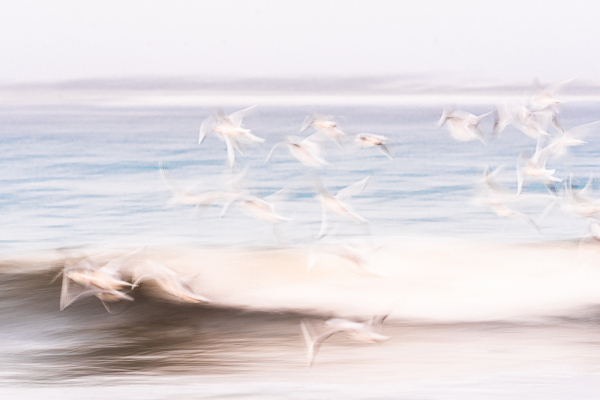 Nathalie.Chanteau-2812-2018