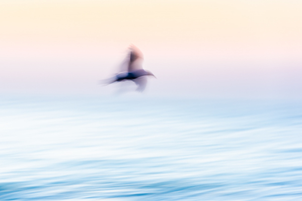 Nathalie.Chanteau-3160-2021