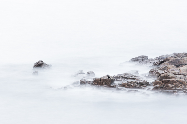 Nathalie-Chanteau-4066-2022