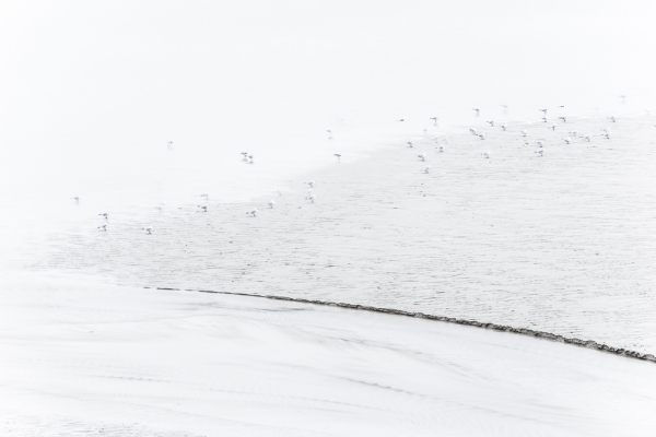 Nathalie-Chanteau-4127-2022